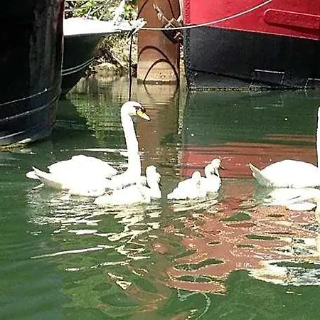 Botel Boat For Guest 3*